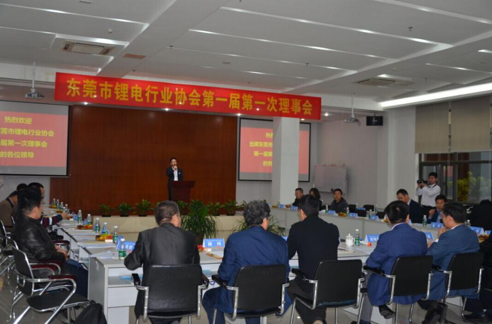 The Association of Lithium Industry